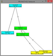 PROMETHEE Ranking - Network view